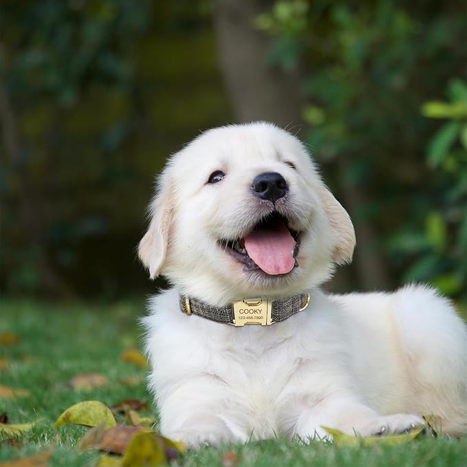 Polyester Personalized Dog Collar with Name and Phone Number, Customizable Laser-Engraved Collar with Metal Quick Release Buckle for Dogs (Tan)