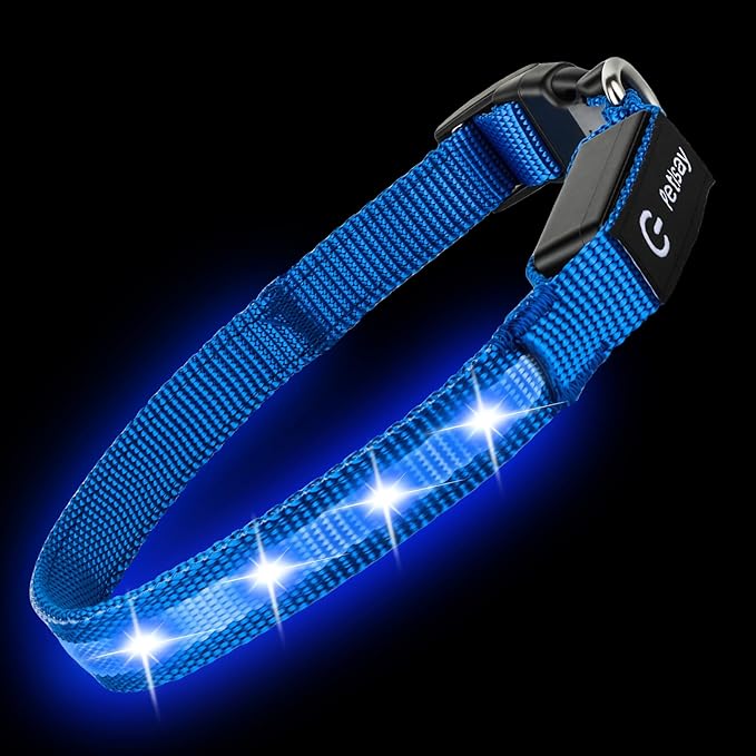 LED Dog Collar for Small Dogs Cats - Fully Waterproof & Adjustable Glow Collar - USB-C Rechargeable for Night Walking, Safety - Flashing Lighted Collar for Dogs(Blue,XS)