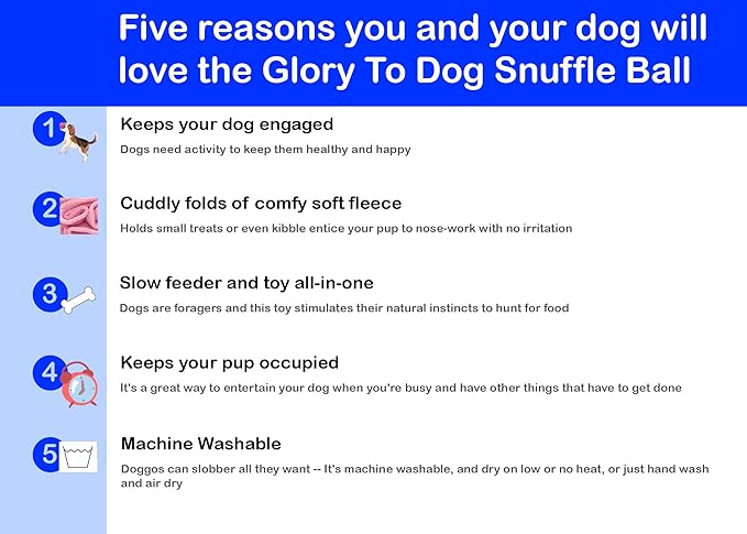 Glory To Dog Puppy and Small Breed Snuffle Interactive Foraging Dog Puzzle Ball Toy Blue