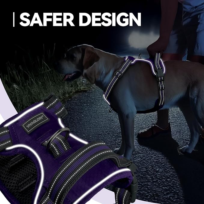 VIVAGLORY Dog Harness Easewalk No Pull Dog Harness with Handle & Front Back Clip for Training Lifting, Easy On Adjustable Padded No Pull for Pet & Puppy, S, Purple