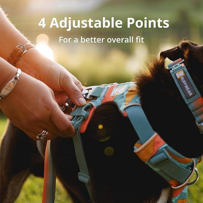 Ruffwear, Front Range Dog Harness, Reflective Soft Padded Everyday Harness with Dual Leash Clips, Adjustable and Lightweight Fit for Training or Walking for All Dogs, Spring Mountains, XX-Small