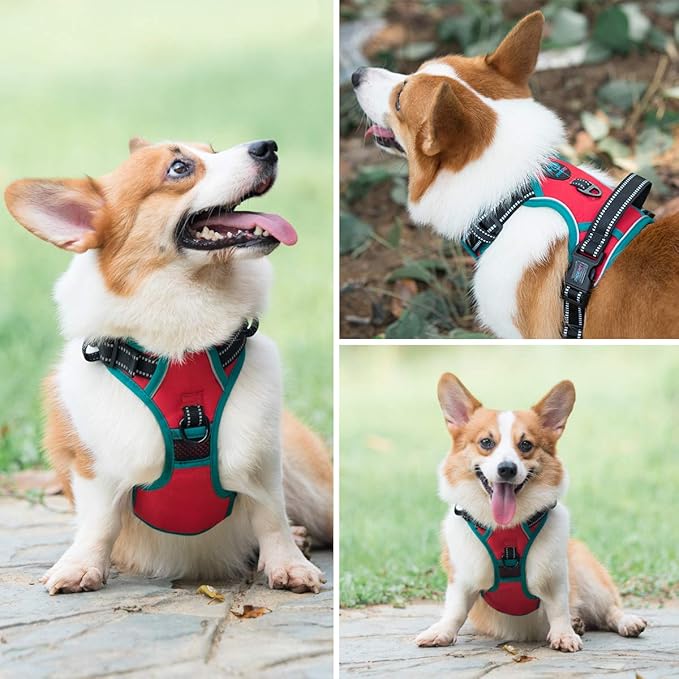 PHOEPET 2019 Reflective Dog Harness Large Breed Adjustable No Pull Vest with with Handle 2 Metal Rings 3 Buckles [Easy to Put on & Take Off](XL, Red)
