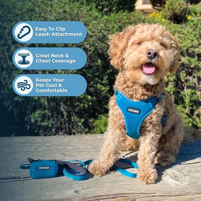 Best Pet Supplies Voyager Mesh Dog Breathable Harness Reflective Stitching, All Weather Adjustable for Walking Training, or Running - Heavy Duty & Durable, Harness (Turquoise), L