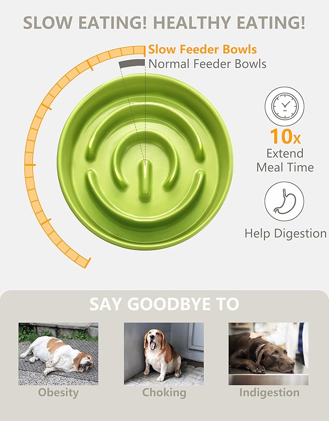 Ceramic Slow Feeder Dog Bowls, 2.0 Cups Slow Feeder for Medium and Large Dogs, Puzzle Maze Bowl to Slow Down Eating, 30oz, 8in, Green