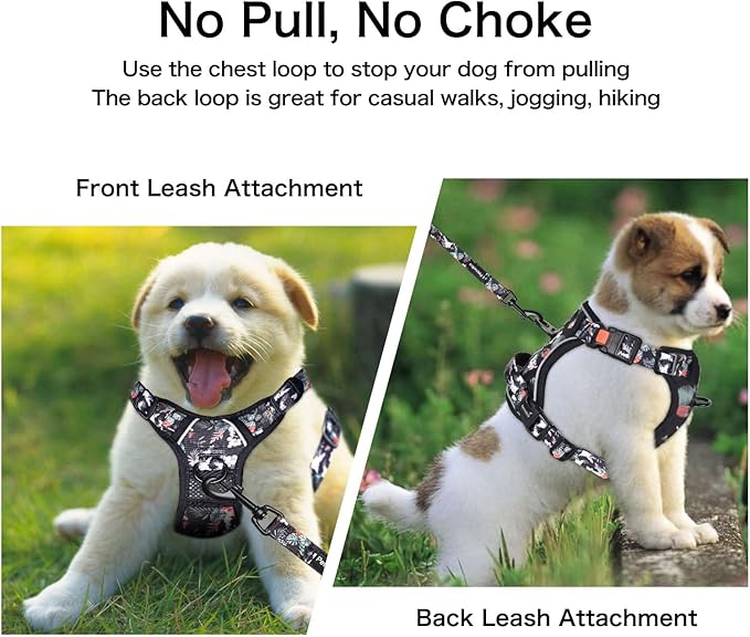 Petmolico No Pull Dog Harness Set with Leash Attachment Easy Control Handle Reflective Harness Vest Small Breed, Puppy Vest and Leash Set with Poop Bag Holder, Small - Rainforest Flower