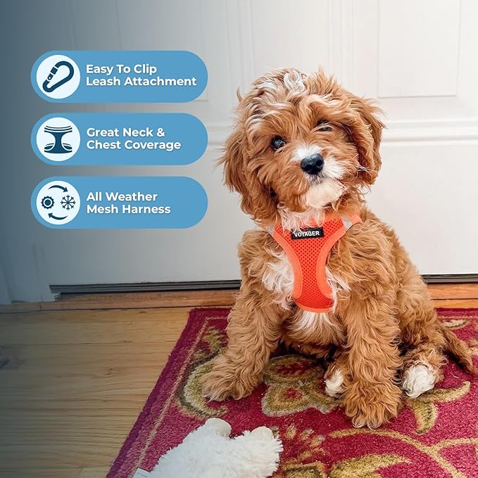 Voyager Step-in Air Cat Harness - All Weather Mesh Step in Vest Harness for Small and Medium Cats by Best Pet Supplies - Harness Leash Set (Orange), XXS