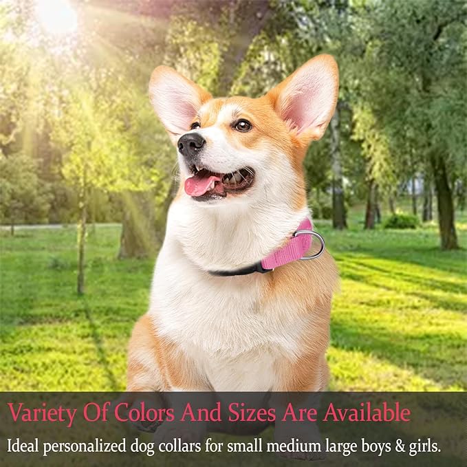 GPS Dog Collar Fence System, No Subscription Required System, Pet Outdoor use, 3 Correction Modes, Electronic Fence Replacement Parts（Pink）