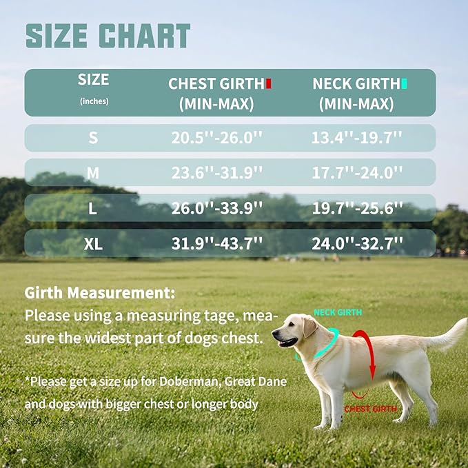 AUROTH Dog Harness No Pull Soft Padded Service Dog Vest, No Choke, Easy On Pet Vest with Handle, Adjustable Reflective Dog Harness for Small, Medium and Large Dogs, Easy Walking and Training