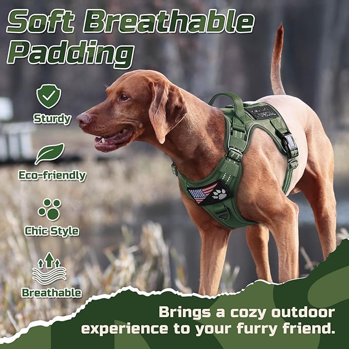 rabbitgoo Tactical Dog Harness for Small Dogs, No Pull Military Service Vest with Handle & Molle, Easy Control for Training Walking, Adjustable Reflective Straps, Green, S