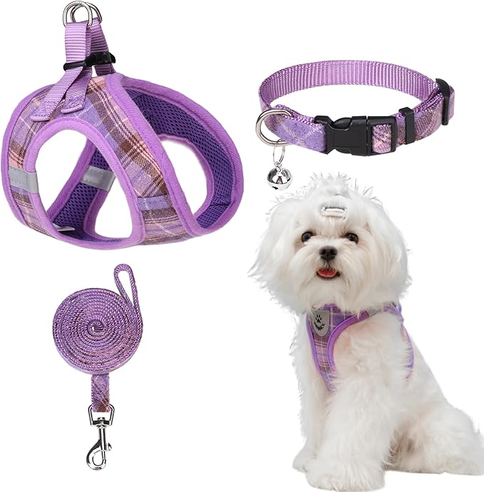 EXPAWLORER Classic Plaid Puppy Harness - Small Dog Harness and Leash Set - Dog Collar and Leash Set with AirTag Holder, Soft Padded Step in Dog Vest Harness No Pull Reflective for Outdoor, Purple S