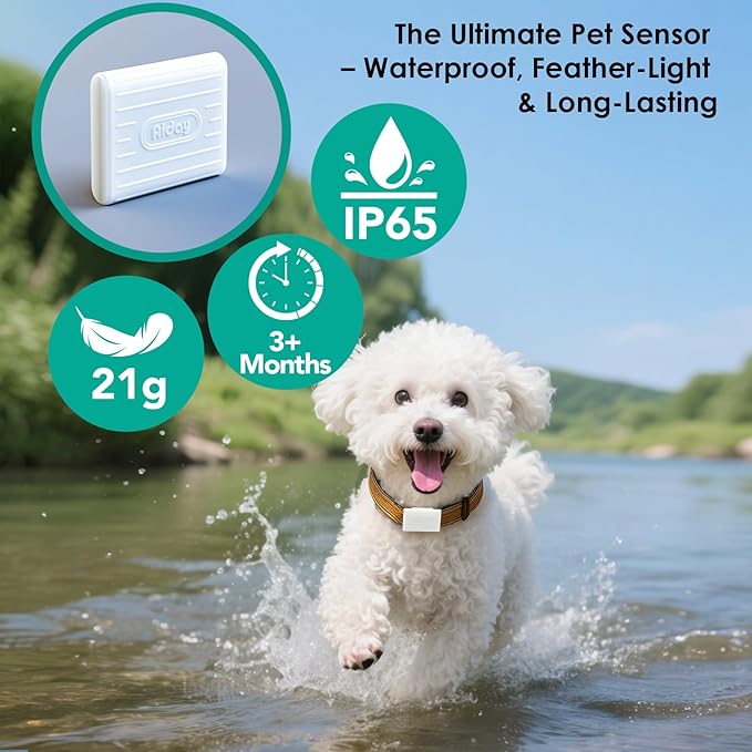 Automatic Dog Door for Door with Collar Sensor, Electronic Medium Dog Door with Timing Function, Anti-Pinch, Metal Frame&Panels, Mains-Powered- M