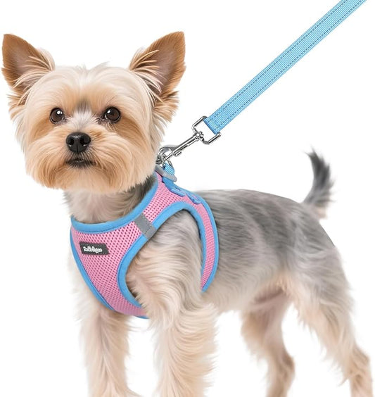 rabbitgoo Dog Harness Small Sized and Leash Set, Step-in Breathable Pet Harness, Soft Walking Reflective Puppy Vest for Small Dogs, Pink & Light Blue, XS
