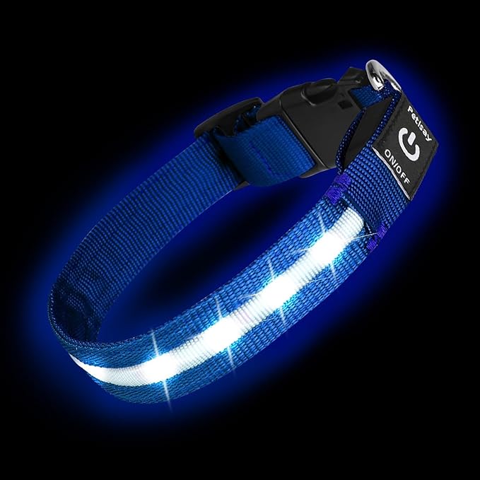 Super Bright LED Dog Collar - Fully Waterproof & Adjustable Glow Collar - USB-C Rechargeable for Night Walking, Safety - Flashing Lighted Collar for Dogs(Blue,Medium)