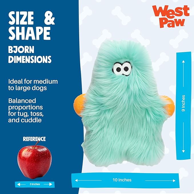WEST PAW Rowdies Olaf Durable Plush Dog Toy with Reinforced HardyTex Fabric Hand Sewn Seams and Engaging Squeaker for Chewers and Cuddlers - Seafoam