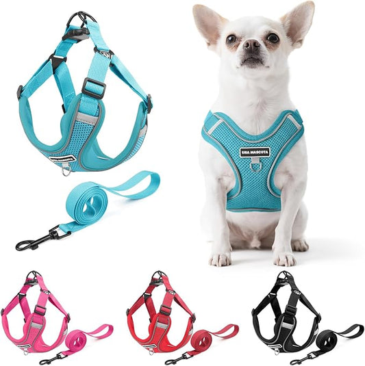 Dog Harness and Leash Set, Adjustable Triangle, Reflective Adjustable Puppy Vest, No Pull Soft Mesh Harness for Small, Medium Dogs, Cats (Turquoise, S)