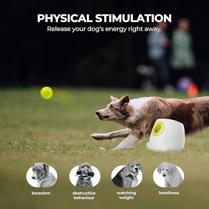 ALL FOR PAWS Automatic Dog Ball Launcher for Medium to Large Dogs, Interactive Tennis Ball Thrower, Rechargeable Dog Toy Mental Stimulation Training Game for Energetic Dogs