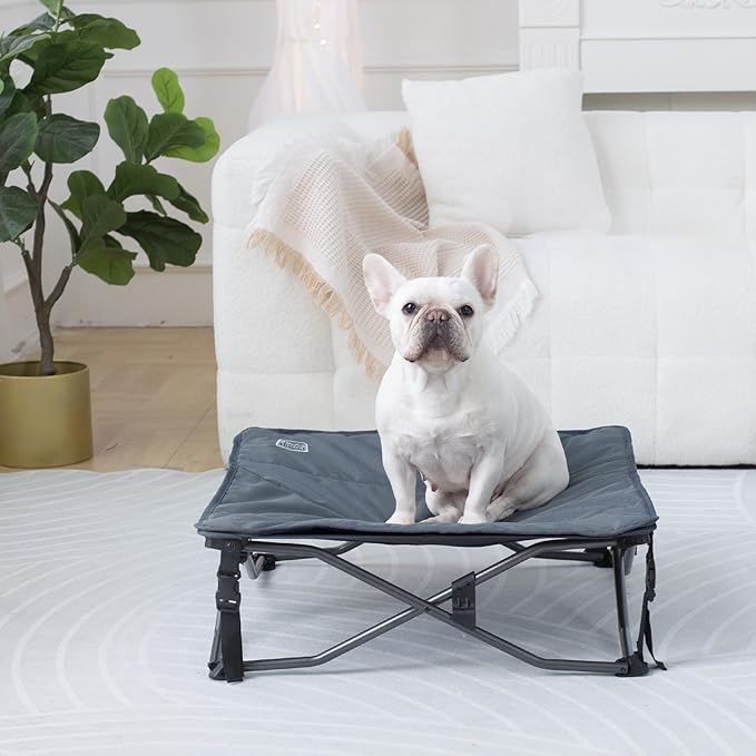 Timber Ridge Small Elevated Dog Bed, 3-in-1 Portable, Folding, and Raised with Removable Pad Mat, Cooling Design for Indoor and Outdoor Use, Grey