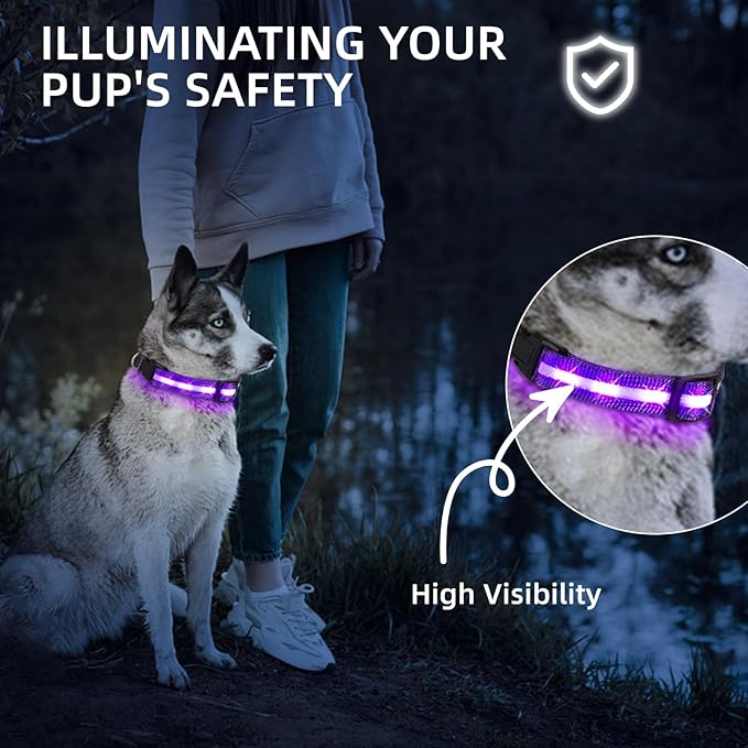 Super Bright LED Dog Collar - Fully Waterproof & Adjustable Glow Collar - USB-C Rechargeable for Night Walking, Safety - Flashing Lighted Collar for Dogs(Purple,Medium)