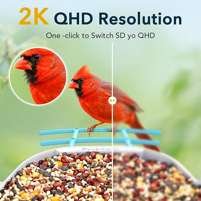 Smart Bird Feeder with Camera 2K Live Real-Time Alert AI Identify with 32G Card DIY Attachments Camera Bird Feeder Solar Powered Wireless Outdoor Birdwatching Gift for Birds Lover, Blue