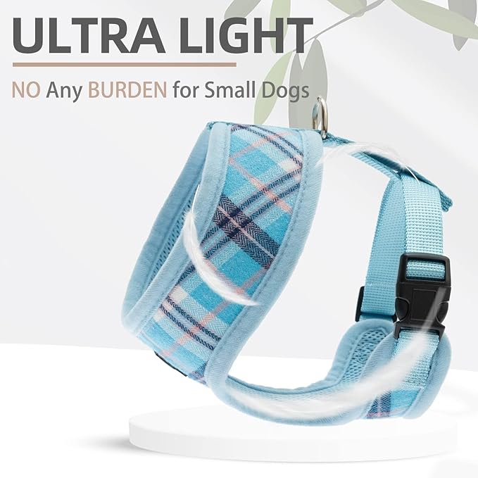 PUPTECK Soft Mesh Dog Harness and Leash Set Pet Puppy Cat Comfort Padded Vest No Pull Harnesses, Light Blue, XS