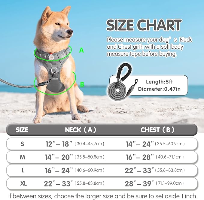 PoyPet No Pull Dog Harness and 5 Feet Leash Set, Release on Neck Reflective Adjustable Pet Vest, Front & Back 2 D-Ring and Soft Padded Pet Harness with Handle for Small to Large Dogs(Grey,M)