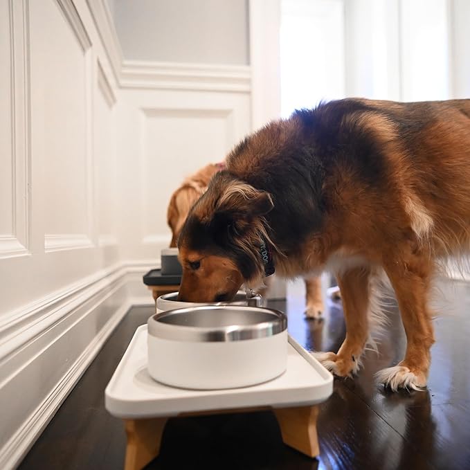Trot Pets Elevated Dog Bowls | Stainless Steel Raised Bowl Set for Small, Medium, or Large Dogs | Non-Slip Food and Water Slow Feeder | Durable, BPA-Free, Anti-Skid, Dishwasher Safe (Slate, Small)