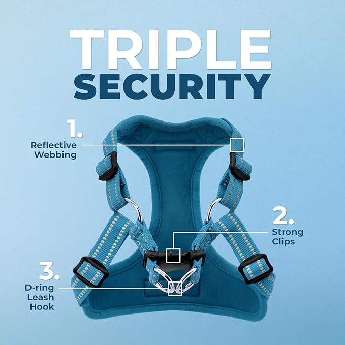 Best Pet Supplies Voyager Mesh Dog Breathable Harness Reflective Stitching, All Weather Adjustable for Walking Training, or Running - Heavy Duty & Durable, Harness Leash Set (Turquoise), XL