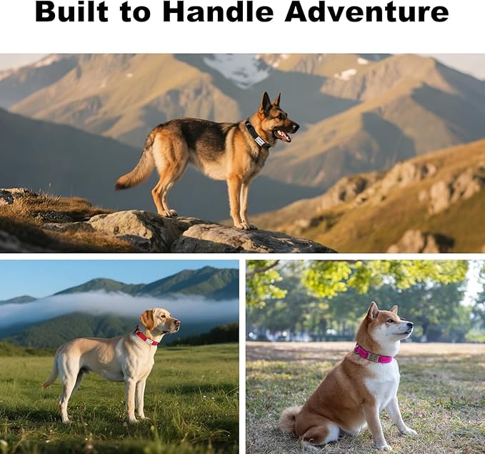 Personalized Dog Collars with Custom Name and Phone Number, Reflective Nylon Pet Collar with Engraved ID Tag, Soft Padded, Quick Release for Small Medium Large Dogs