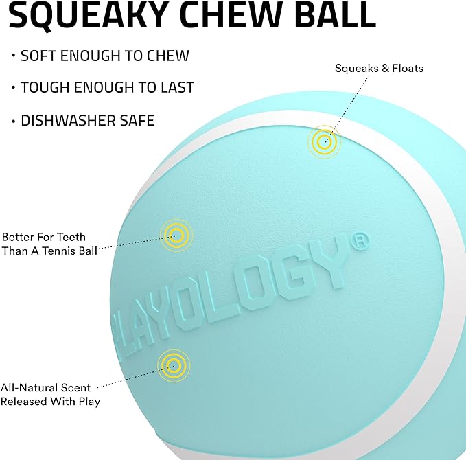 Playology Dog Toys | Squeaky Chew Ball - Bouncy Durable Floating Fetch Ball for Dogs | Jumbo Peanut Butter Scented Toy - Easy to Clean and Made from Non Toxic Materials