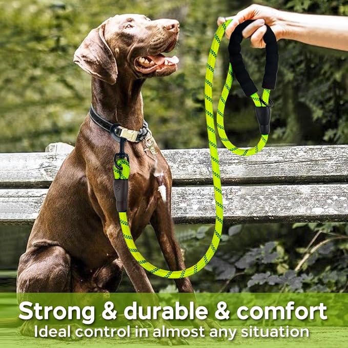 COOYOO Dog Leash 5/6 FT with Comfortable Padded Handle and Highly Reflective Threads for Small Medium and Large Dogs