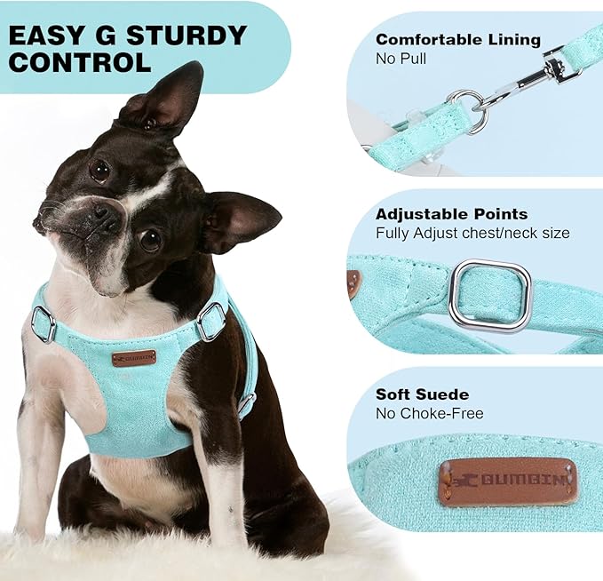 Dog Harness and Leash Set, XXS No Pull Adjustable Puppy Harness with Multifunction Pink Dog Leash and Dog Collar, Soft No Choke Escape Proof Pet Harness Vest for Small Dogs and Cats (Mint Green, XS)