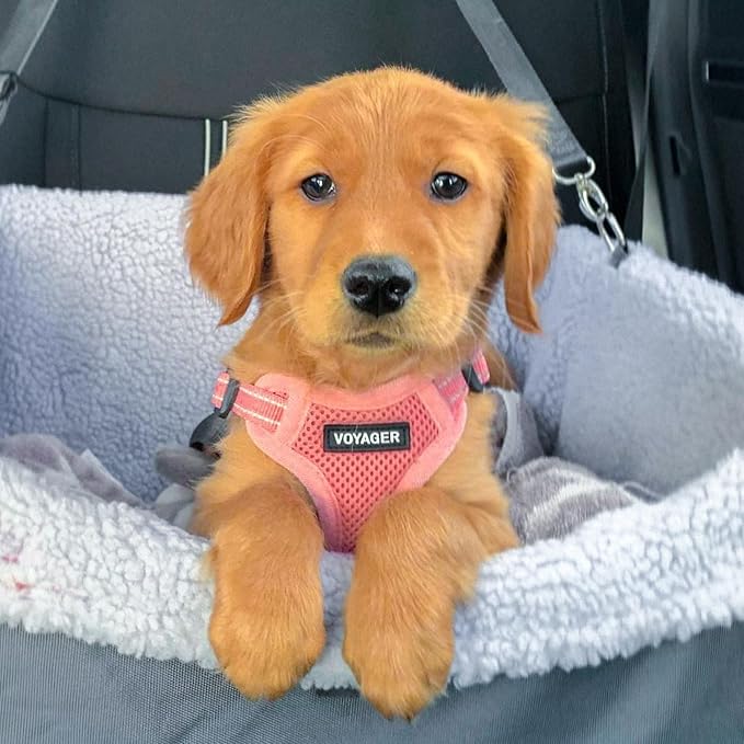 Best Pet Supplies Voyager Mesh Dog Breathable Harness Reflective Stitching, All Weather Adjustable for Walking Training, or Running - Heavy Duty & Durable, Harness Leash Set (Pink), S