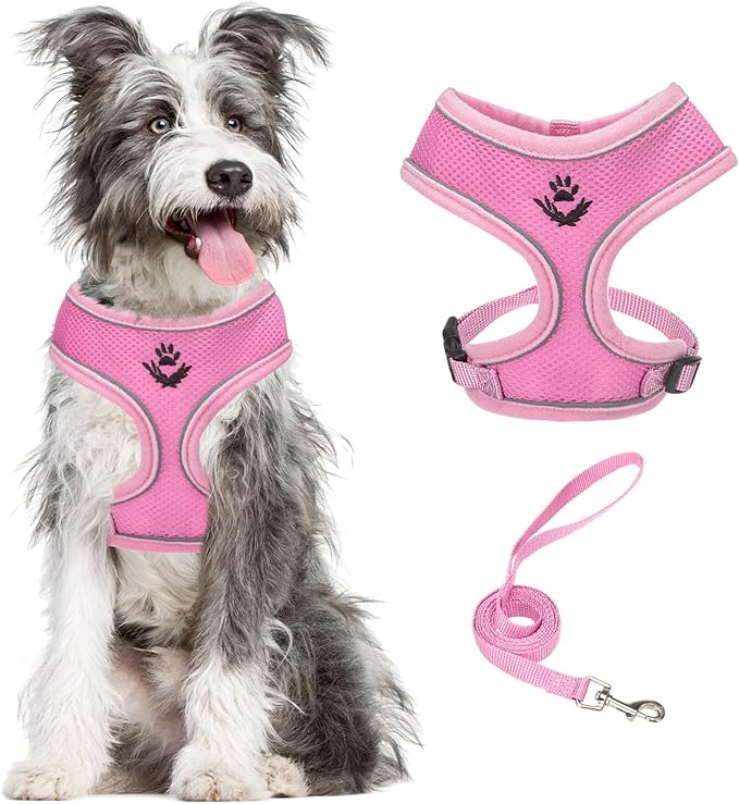 PUPTECK Soft Mesh Dog Harness and Leash Set Pet Puppy Cat Comfort Padded Vest No Pull Harnesses