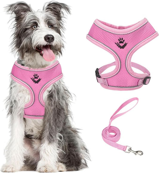 PUPTECK Soft Mesh Dog Harness and Leash Set Pet Puppy Cat Comfort Padded Vest No Pull Harnesses