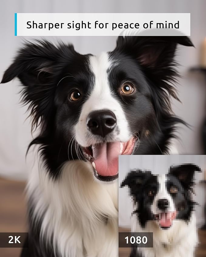 blurams 5G Pet Camera 2K, 360° PTZ Dog Camera with Phone App, Indoor Cameras for Home Security w/Dual-Band WiFi6, 2-Way Audio, Motion Tracking, Color/IR Night Vision, Siren, Cloud&SD