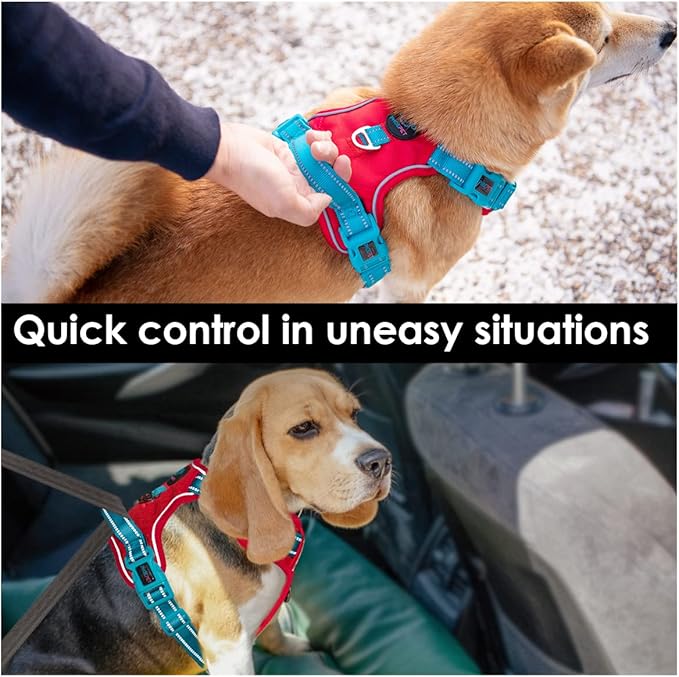 PHOEPET No Pull Dog Harness, Unique Colors Reflective Adjustable Dog Vest, with Soft Training Handle Metal Clips for Small Medium Large Dogs (Red Base & Teal Straps,L)