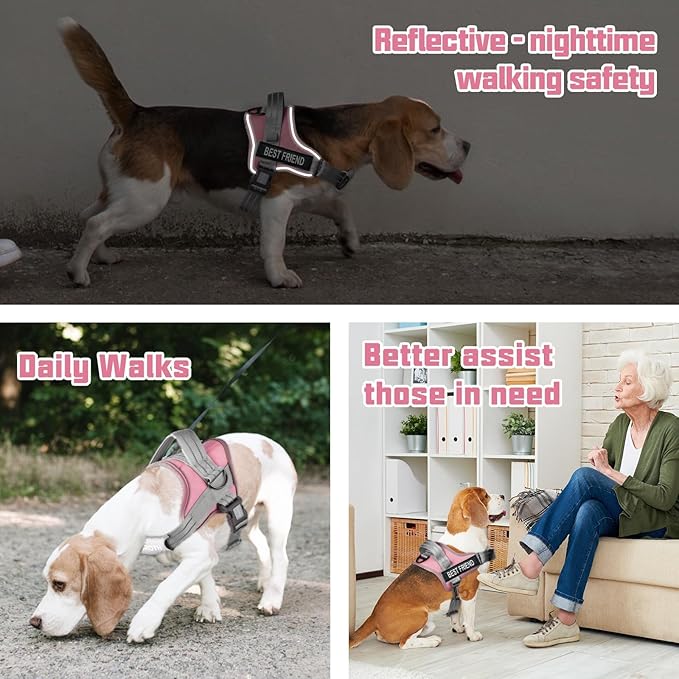 AUROTH Dog Harness and Leash Set, Soft Padded Dog Vest with 5.25FT Dog Leash, No Choke, Easy On Pet Vest, Adjustable Reflective No Pull Dog Harness for Large Dogs, Easy Walking and Training