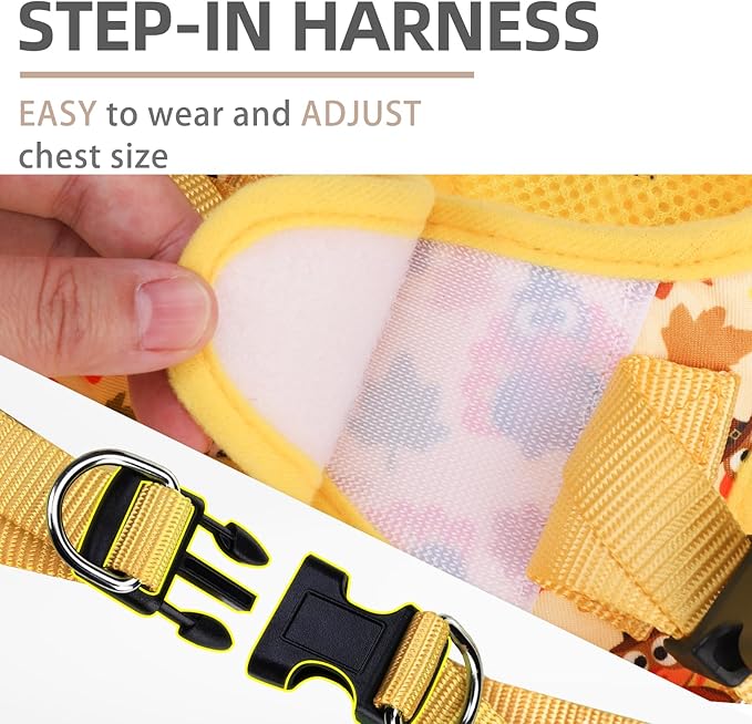 PUPTECK Dog Harness and Leash Set for Small Medium Dogs No Pull Step-in Soft Mesh Puppy Cat Vest Harnesses Reflective at Night Thanksgiving, Autumn, M