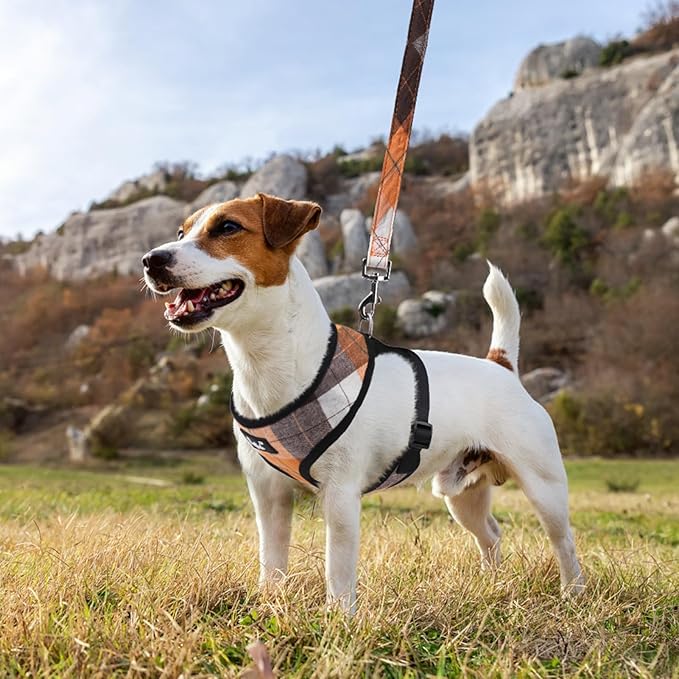 PUPTECK Soft Mesh Dog Harness and Leash Set Pet Puppy Cat Comfort Padded Vest No Pull Harnesses, Orange, S
