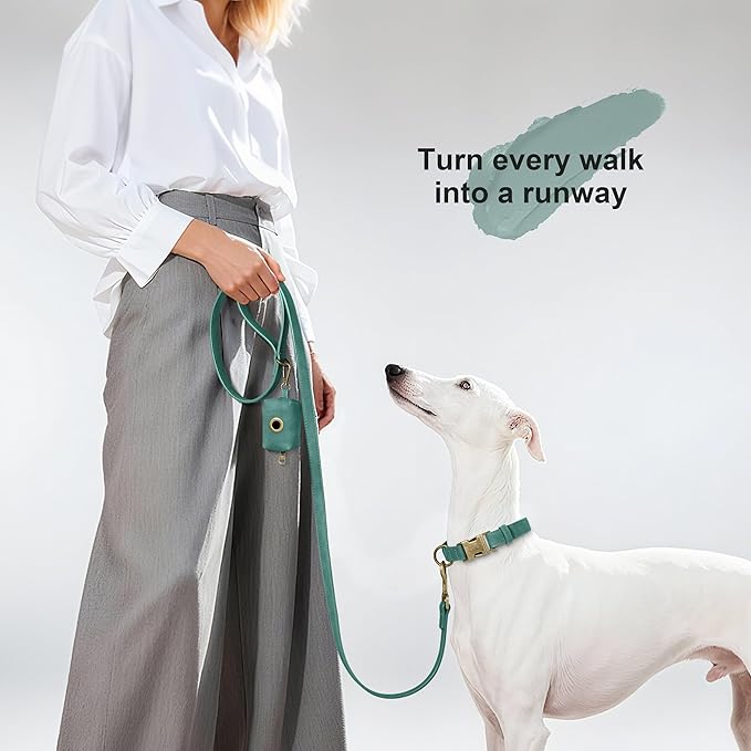 Didog Soft PU Leather Dog Collar, Stylish Quick Released Dog Collars for Medium Dogs, Easy Clean Adjustable Pet Collar for Daily Walking, Green, M Fit 13-21" Neck