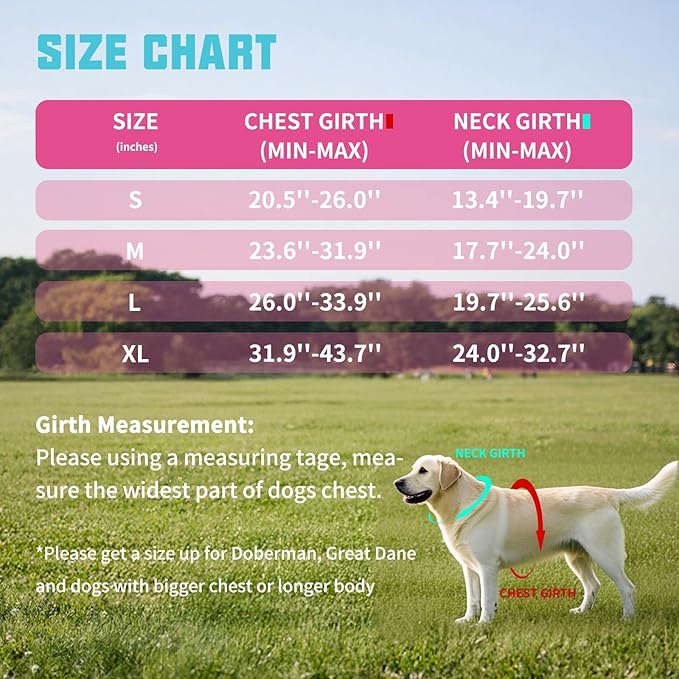 AUROTH Dog Harness and Leash Set, Soft Padded Dog Vest with 5.25FT Dog Leash, No Choke, Easy On Pet Vest, Adjustable Reflective No Pull Dog Harness for Large Dogs, Easy Walking and Training