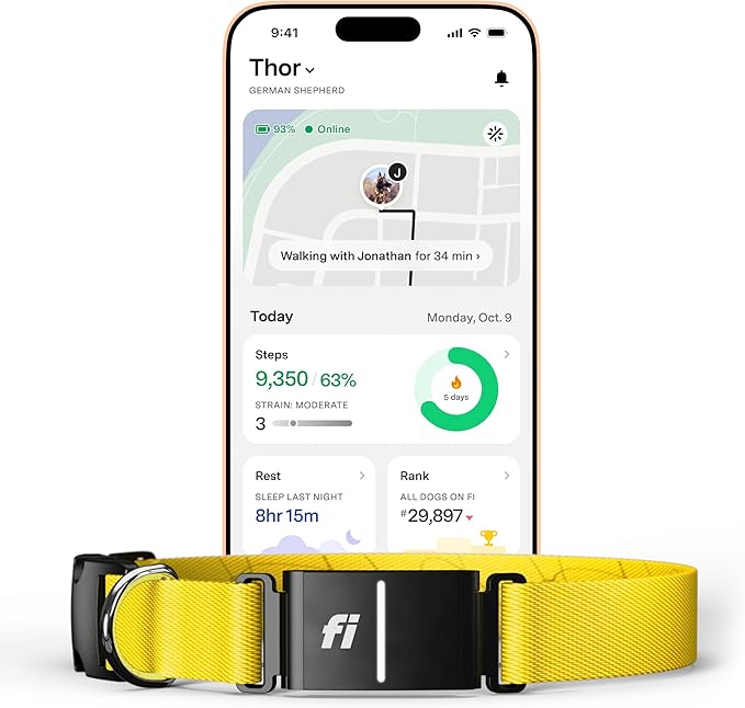 New Fi Series 3+ Smart Dog Collar - GPS Dog Tracker and Activity & New Fitness Monitor, Waterproof, LED Light, Escape Alerts, Nationwide Coverage [Free 6 Month Membership] (Yellow, Large)