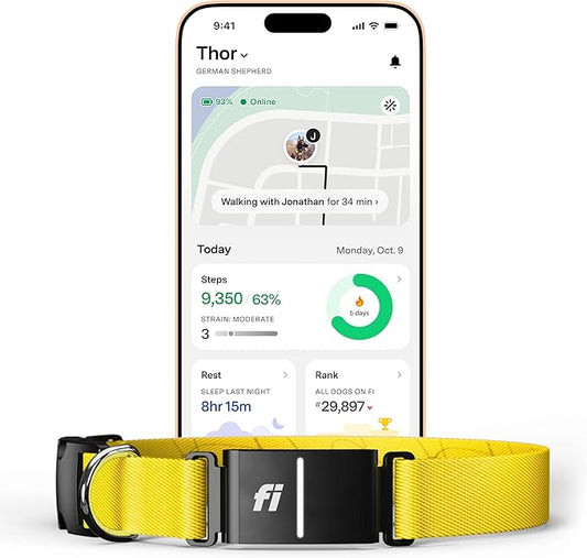 New Fi Series 3+ Smart Dog Collar - GPS Dog Tracker and Activity & New Fitness Monitor, Waterproof, LED Light, Escape Alerts, Nationwide Coverage [Free 6 Month Membership] (Yellow, X-Small)