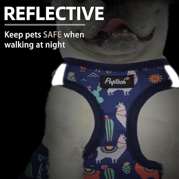 PUPTECK Dog Harness and Leash Set for Small Medium Dogs No Pull Step-in Soft Mesh Puppy Cat Vest Harnesses Reflective at Night, NavyBlue Print, S