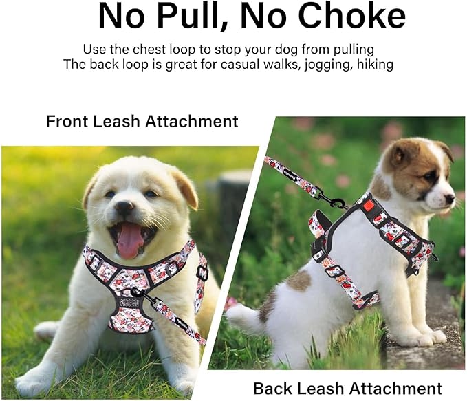 Petmolico No Pull Dog Harness Set with Leash Attachment Easy Control Handle Reflective Harness Vest Small Breed, Puppy Vest and Leash Set with Poop Bag Holder, Medium - White Rose