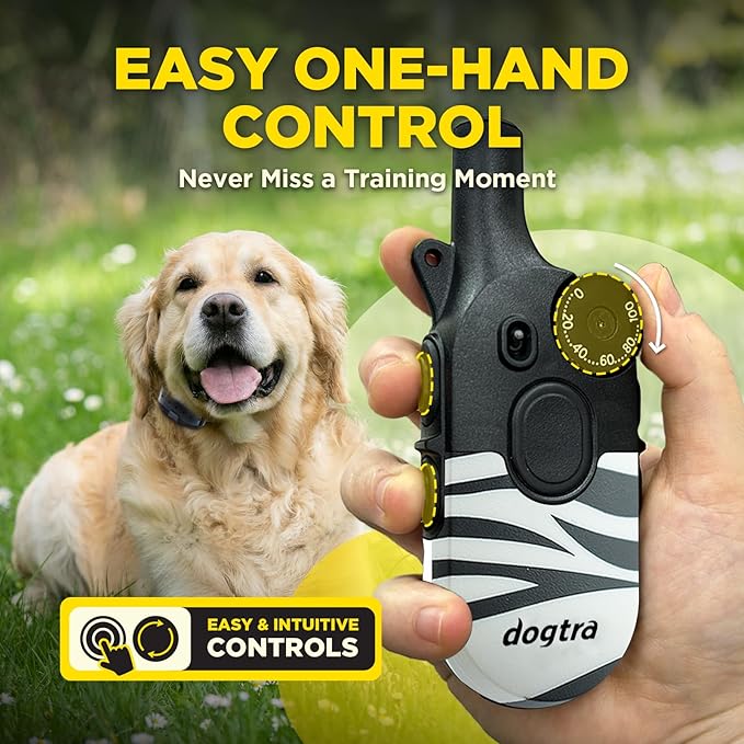 Dogtra 200iQ Remote Training E Collar – 100 Levels, Tone, Vibration, 1/2 Mile Range – Compact, Waterproof, One-Handed Control for Dogs 10 lbs+ – Lightweight Design for Daily Training – Zebra