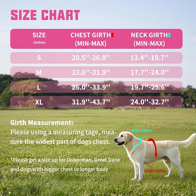 AUROTH Dog Harness and Leash Set, Soft Padded Dog Vest with 5.25FT Dog Leash, No Choke, Easy On Pet Vest, Adjustable Reflective No Pull Dog Harness for Large Dogs, Easy Walking and Training