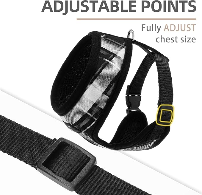 PUPTECK Soft Mesh Dog Harness and Leash Set Pet Puppy Cat Comfort Padded Vest No Pull Harnesses, Black, L