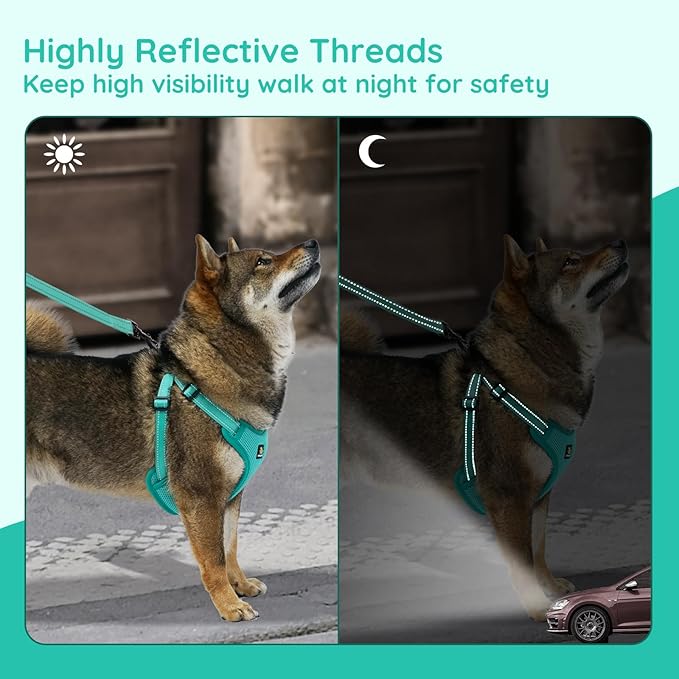 BELLA & PAL Adjustable Step-in Dog Harness, Puppy No-Pull Vest with Leash Set for XS/Small & Medium Dog, Breathable All-Weather Mesh, Reflective Strip, Secure Hook & Loop, Buckle Closure