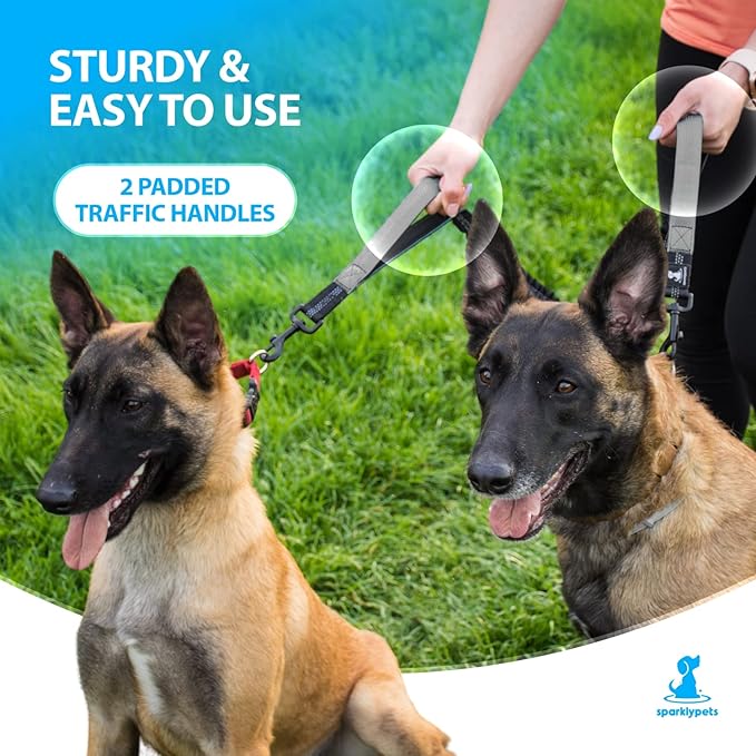 SparklyPets Hands Free Dog Leash for Medium and Large Breeds – Professional Harness with Reflective Stitches for Training, Walking, Jogging and Running Your Pet (Gray, for 2 Dogs Only Coupler)